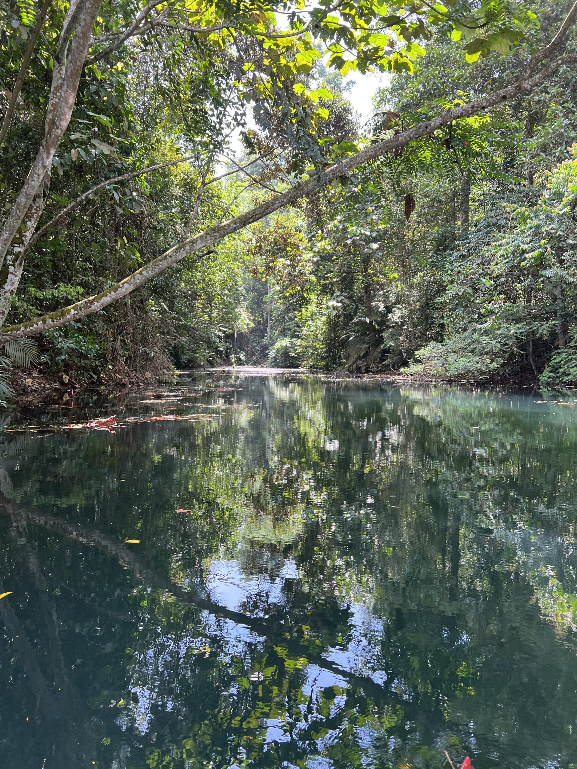Img-CSR-Environmental-9